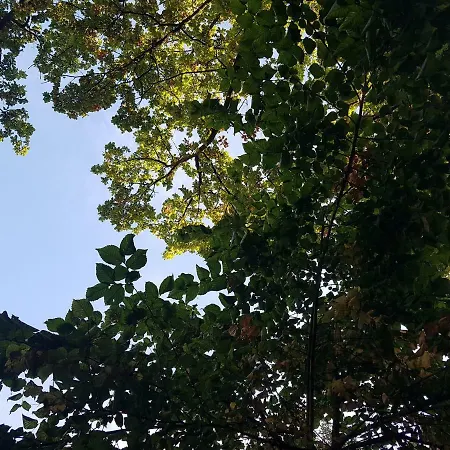 De Hazelaar Rotterdam